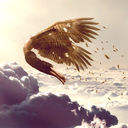 flying-falling-icarus avatar