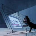 flying-off-to-neverland avatar