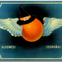 flying-oranges avatar