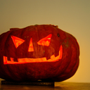 flying-seidla avatar