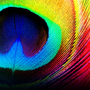 flying-t0neverland-blog avatar