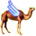 flyingcamel avatar