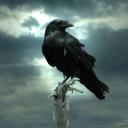 flyingfitandsugarfree avatar