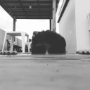 flyinginstars avatar