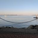 flyingsnakeboi avatar