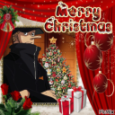 flyingstrider avatar