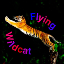 flyingwildcat avatar