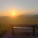 flyingwiththefish avatar