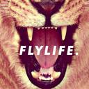 flylifebrand avatar