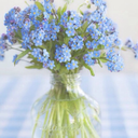 flymetojannah avatar