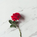 fnd-me-in-paris avatar