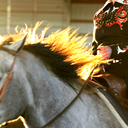 foalingintern avatar