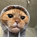 focus-on-me-now avatar