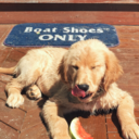 focus-on-the-fitness avatar