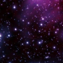 focused-on-not avatar