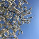 focuson50differentthings avatar