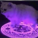 foggycolorkitty avatar