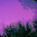 foggydreamcolor avatar