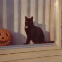 foggyfallmorning avatar