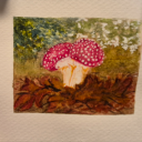 foggypeacedinosaur avatar