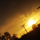 foggysongcolor avatar