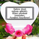 foggysuitdelusion avatar