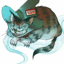 foggyturtleshark avatar