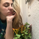 foggyythoughts avatar