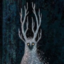 fogmothshroom avatar