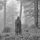 folklorelauren avatar