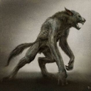 folkloricwerewolf avatar