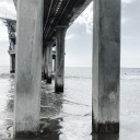 folkwhore-xiii avatar