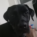 foll0wthem00n avatar