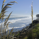 follow-emotions avatar