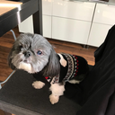 follow-me-to-adventure avatar