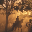 follow-the-flower-road avatar