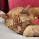 follow-you-down24 avatar