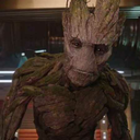 followgroot-blog-blog avatar