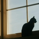 followmeandgetlost avatar