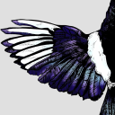 followmebelowlinkshere avatar