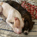 followmeintodarkness avatar