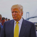 folowtrump avatar