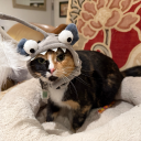 foodandfandoms avatar