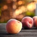 foodfotographs avatar