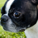 foodieslosangeles avatar