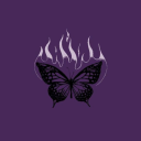 foolishheartsblog avatar