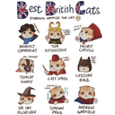 foolycoolybabe avatar