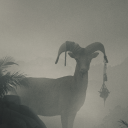 footfungus2000 avatar