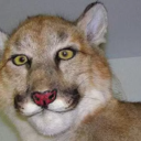 footworkdruid avatar