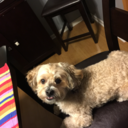 for-everalwayz avatar